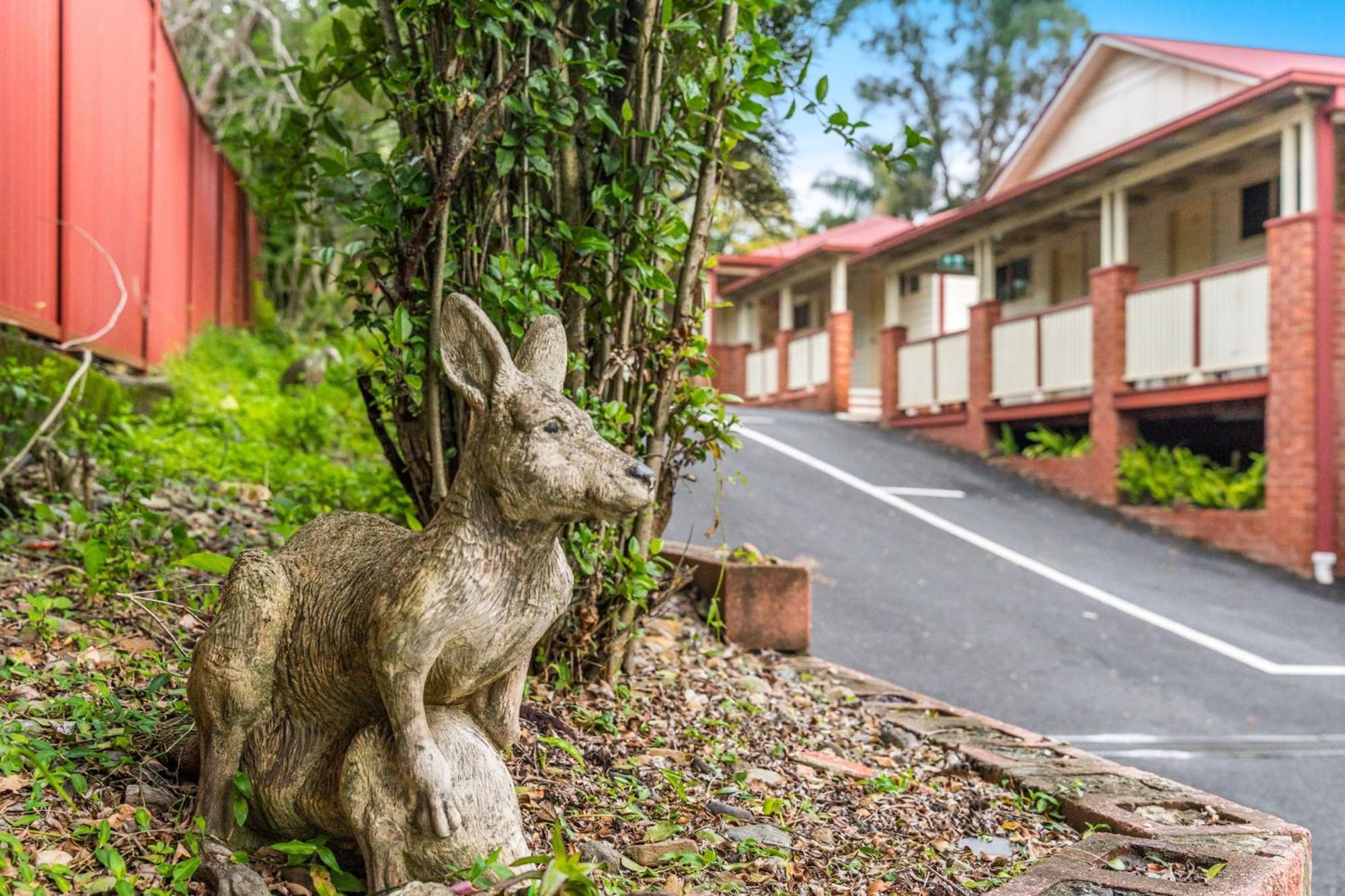 Lismore Wilson Motel Exterior foto